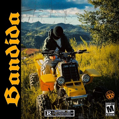 Bandida - Single