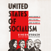 Dinesh D'Souza - United States of Socialism artwork