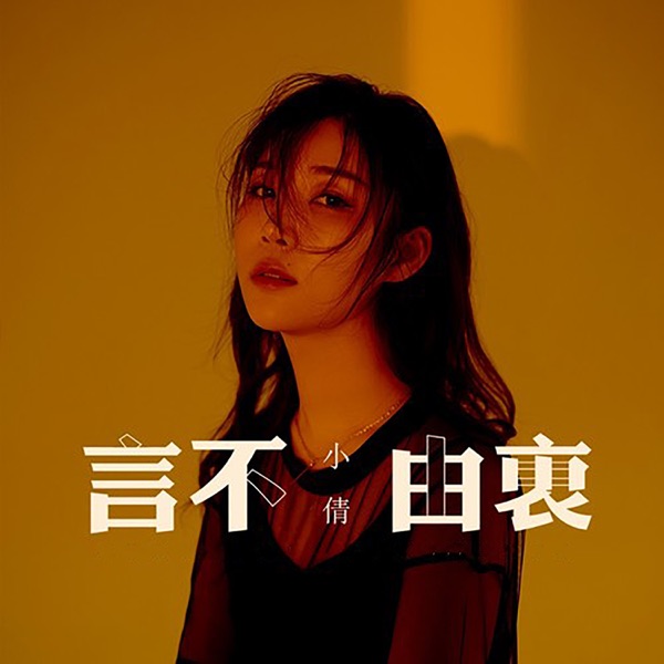 言不由衷 - Single