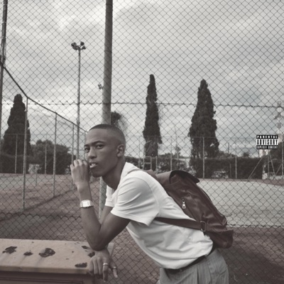 Overseas (feat. Joey2.0) [Remix] - Single