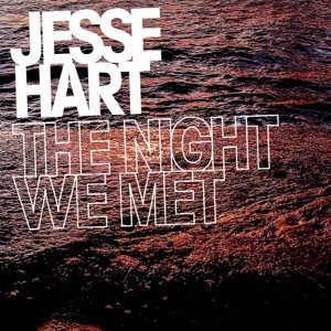 The Night We Met (feat. Lo Beeston) - Single