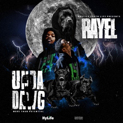 Undadawg 3: More Than Potential - EP