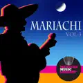 Salsa Mariachi