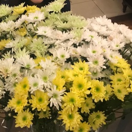 Walk Through This World With Me Pride & The Night Time