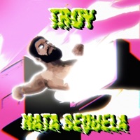 Troy (feat. DaniBoy) - Single - natã sequela