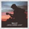 Und trotzdem ist es Liebe - Wally lyrics