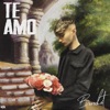 Te Amo - Single