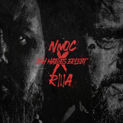 Ich hab es erlebt - Single