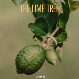 The Lime Tree Sammy Mo & BPMADEIT
