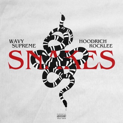 Snakes (feat. Hoodrich Rocklee) - Single