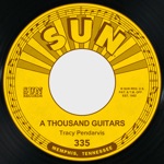 Tracy Pendarvis - A Thousand Guitars