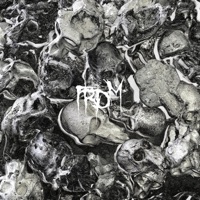 Bezerk (feat. Kill Ebola) - Single - frdm