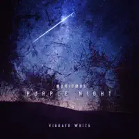 Purple Night (Extended Mix) — MarioMoS