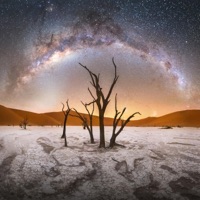 Still I Rise - Garey Godson