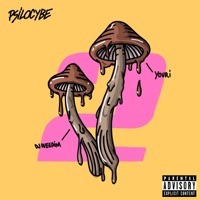 Psilocybe II - Single - DJ Weedim & Youri