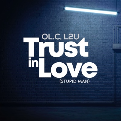 Trust in Love (Stupid Man) - Single