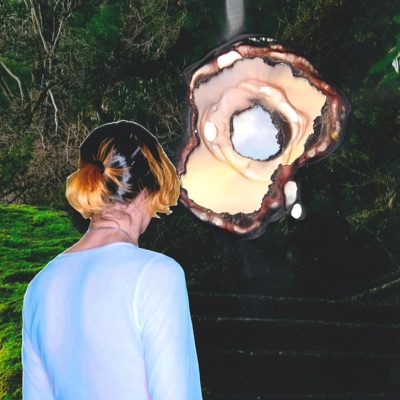 The Path of Gloss We Fear Not Walk