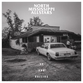 North Mississippi Allstars - Living Free