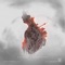 Doroogh (feat. Ho3ein) - Shayea lyrics