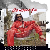 Die Without You artwork