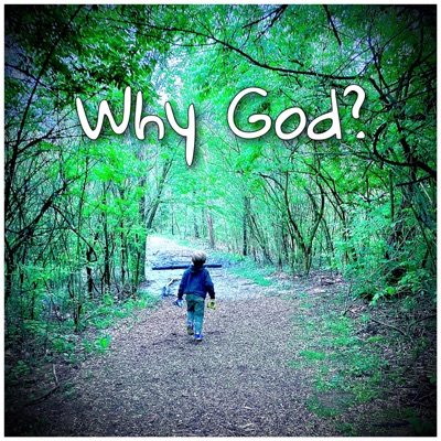 Why God? (feat. Sarah Bosworth) - Single