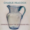 Drinking from the Wordless Well - EP