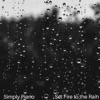 Set Fire to the Rain - Single