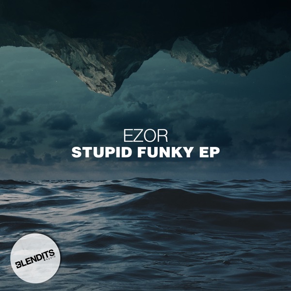 Stupid Funky - Single