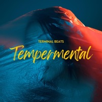 Tempermental - Single - Terminal Beats