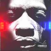 Stimamolelo song art