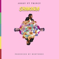 ShaKara (feat. Tripcy) - Single - Jossy