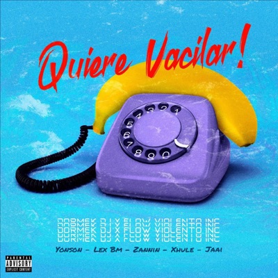Quiere vacilar (feat. Dormek Dj, Dj Pancho, Xhule, Jaai, Yonson,Zannin) - Single