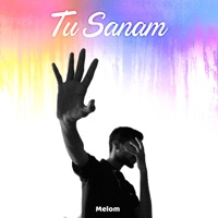 Tu Sanam - Single - Melom