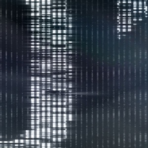 Gone / Blackmark - Single