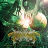 R*Fp.Ne.Fl.Fi.Fc.L=N cover art
