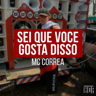 Sei Que Você Gosta Disso (feat. DJ Luis DF) - Single