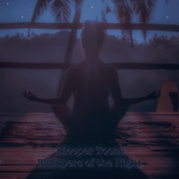 Whispers of the Night - Single - Sleeper Toons