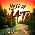 MEIO DO MATO