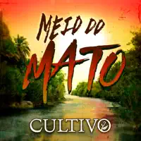 MEIO DO MATO — CULTIVO