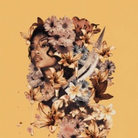 Love Me, Love Me Not - Single - Shay Lia