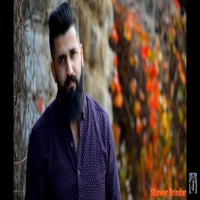Slower Brindar - Yaşayamadım