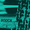 Ringing in the Night - Single