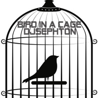 Bird in a Cage - Single - Djsephton
