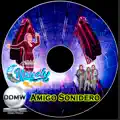 Amigo Sonidero