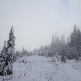 You'll Make It Through Braydo