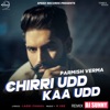 Chirri Udd Kaa Udd (Remix) - Single