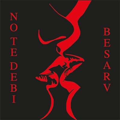 No Te Debi Besarv - Single