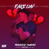 Fake Luv (feat. BOE Mumu) - Single - YoungJay