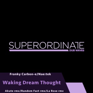 Waking Dream Thought - Single