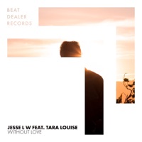 Without Love (feat. Tara Louise) - Single - Jesse L W